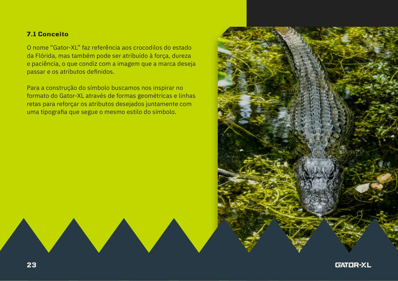 Brandbook do Gator-XL: o conceito do nome e do símbolo, inspirado no aligátor